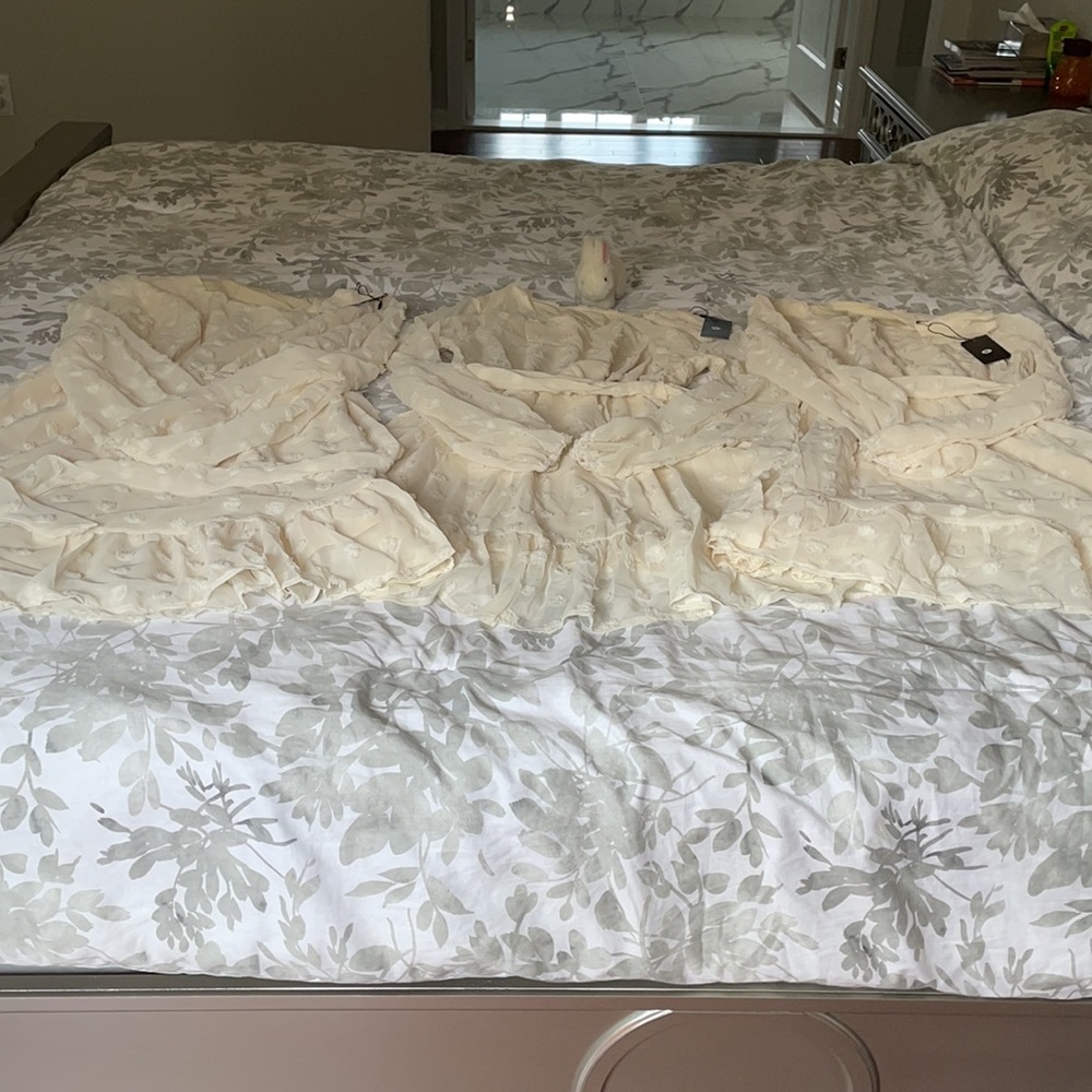 NWT Swiss dot dress ivory. Multiple sizes - Picture 6 of 7